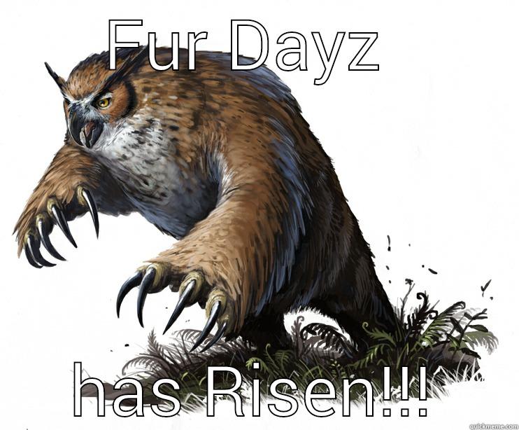 FUR DAYZ  HAS RISEN!!! Misc