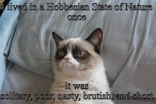 I LIVED IN A HOBBESIAN STATE OF NATURE ONCE IT WAS SOLITARY, POOR, NASTY, BRUTISH, AND SHORT Grumpy Cat