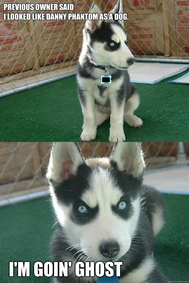 Previous owner said 
I looked like Danny Phantom as a dog. I'M GOIN' GHOST  Insanity puppy