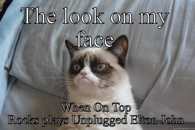 THE LOOK ON MY FACE WHEN ON TOP ROCKS PLAYS UNPLUGGED ELTON JOHN Grumpy Cat