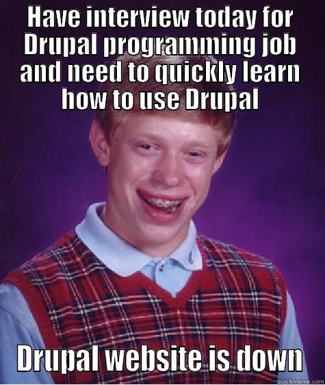 dafuq is my drupal? - HAVE INTERVIEW TODAY FOR DRUPAL PROGRAMMING JOB AND NEED TO QUICKLY LEARN HOW TO USE DRUPAL DRUPAL WEBSITE IS DOWN Bad Luck Brian