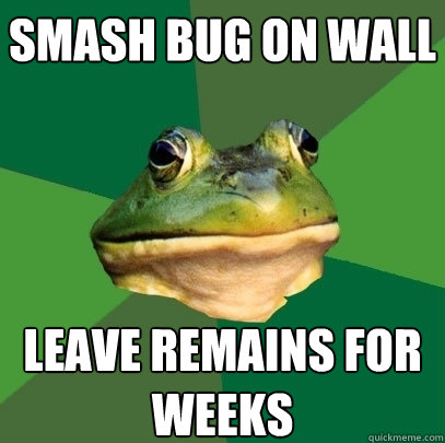 Smash bug on wall Leave remains for weeks - Smash bug on wall Leave remains for weeks  Foul Bachelor Frog