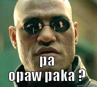  PA OPAW PAKA ? Matrix Morpheus