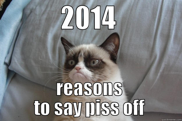 2014 REASONS TO SAY PISS OFF Grumpy Cat