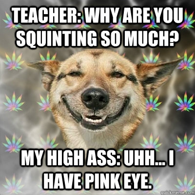 teacher: why are you squinting so much? my high ass: uhh... i have pink eye.  Stoner Dog