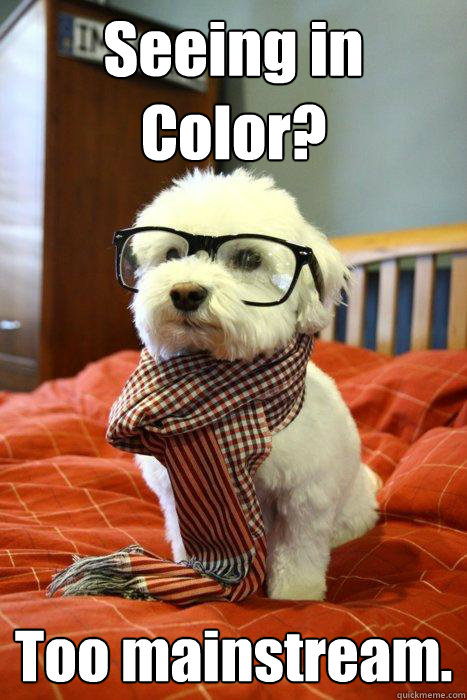 Seeing in Color? Too mainstream.  Hipster Dog