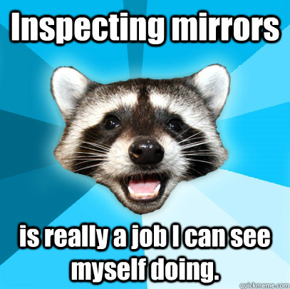 Inspecting mirrors is really a job I can see myself doing. - Inspecting mirrors is really a job I can see myself doing.  Lame Pun Coon