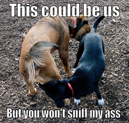 Butt sniffers -    THIS COULD BE US    BUT YOU WON'T SNIFF MY ASS Misc