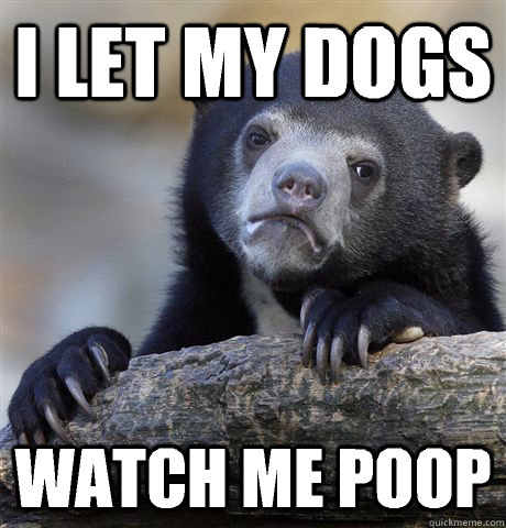 I let my dogs Watch me poop  Confession Bear