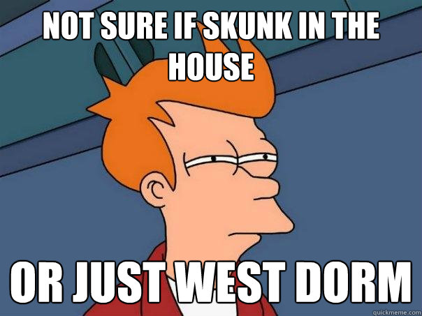 Not sure if skunk in the house Or just west dorm  Futurama Fry