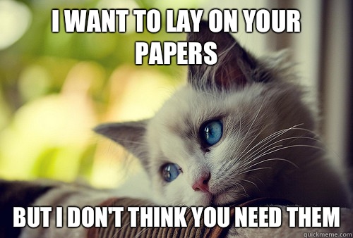 I want to lay on your papers but I don't think you need them  First World Problems Cat