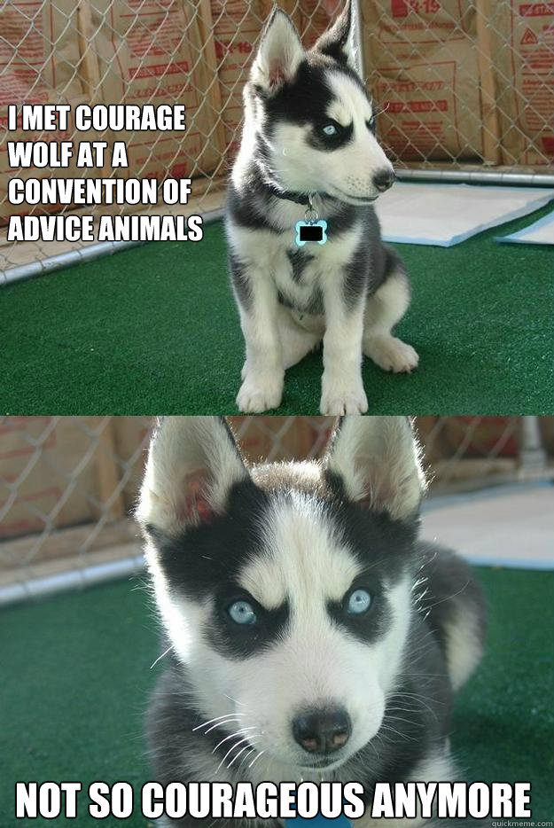 I met Courage Wolf at a convention of Advice Animals NOT SO COURAGEOUS ANYMORE  Insanity puppy