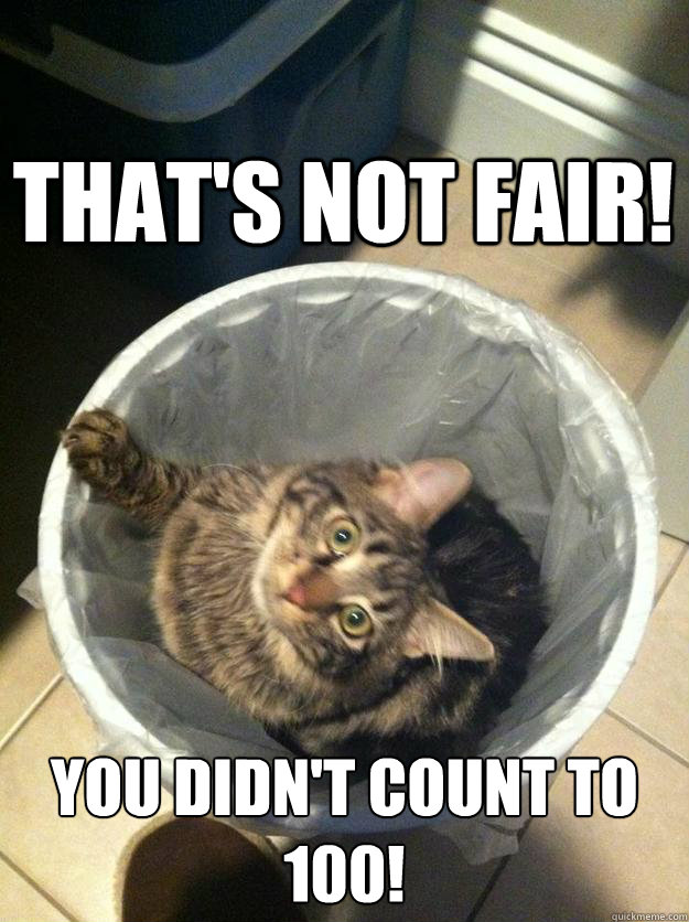 That's not fair! you didn't count to 100! - That's not fair! you didn't count to 100!  Hide and Seek Cat