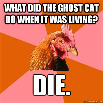 What did the ghost cat do when it was living? Die.  Anti-Joke Chicken