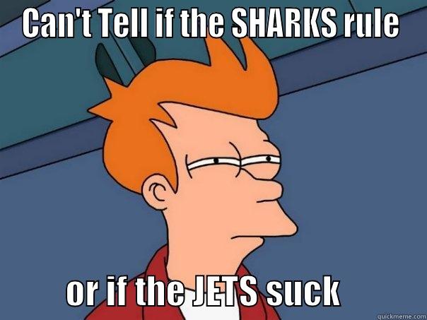 CAN'T TELL IF THE SHARKS RULE           OR IF THE JETS SUCK            Futurama Fry