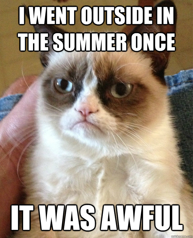 I went outside in the summer once It was awful  Grumpy Cat