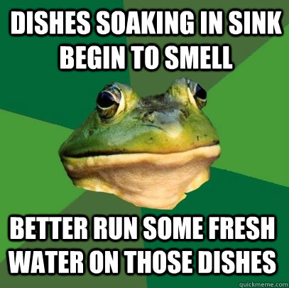 dishes soaking in sink begin to smell better run some fresh water on those dishes - dishes soaking in sink begin to smell better run some fresh water on those dishes  Foul Bachelor Frog