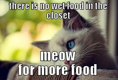 THERE IS NO WET FOOD IN THE CLOSET MEOW FOR MORE FOOD First World Problems Cat