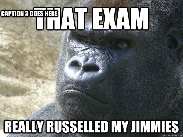 That exam really russelled my jimmies Caption 3 goes here  
