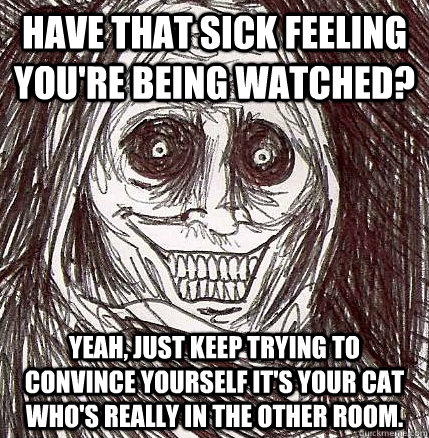 have that sick feeling you're being watched? yeah, just keep trying to convince yourself it's your cat who's really in the other room.  Horrifying Houseguest