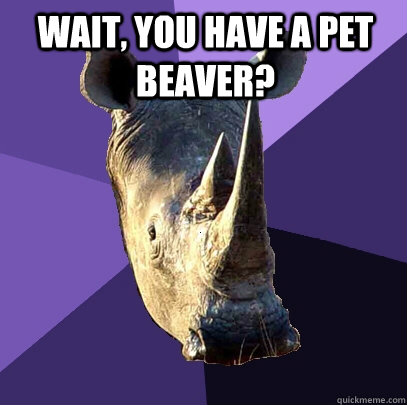 Wait, you have a pet beaver?   Sexually Oblivious Rhino