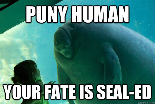 puny human your fate is seal-ed  Overlord Manatee