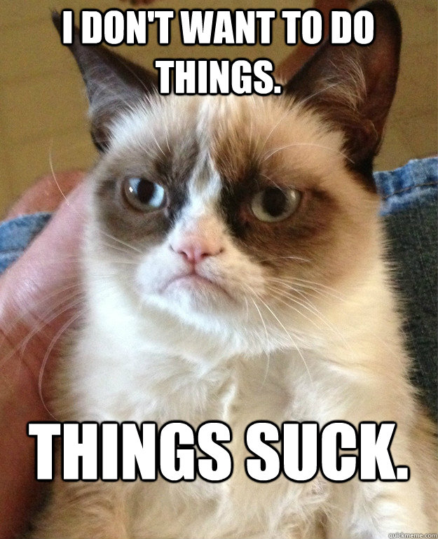 I don't want to do things. Things suck.  Grumpy Cat