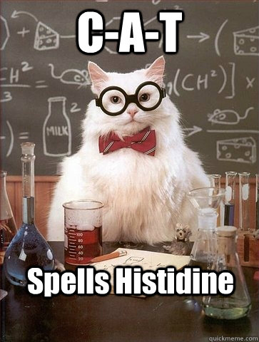 C-A-T Spells Histidine - C-A-T Spells Histidine  Chemistry Cat