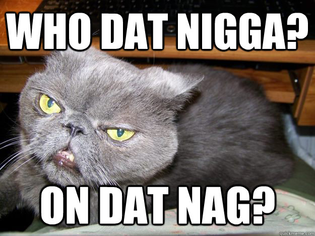 Who Dat Nigga? On dat NAg? - Who Dat Nigga? On dat NAg?  Samuel L Jackson Cat