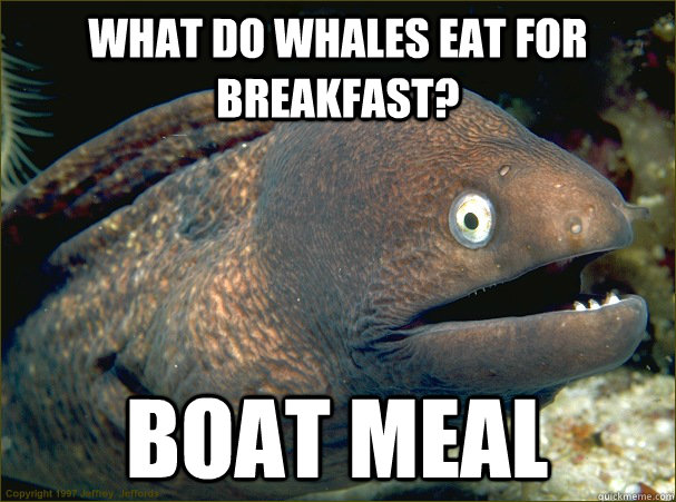 What do whales eat for breakfast? Boat meal - What do whales eat for breakfast? Boat meal  Bad Joke Eel