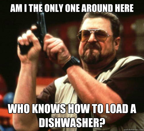 Am i the only one around here who knows how to load a dishwasher?  Am I The Only One Around Here