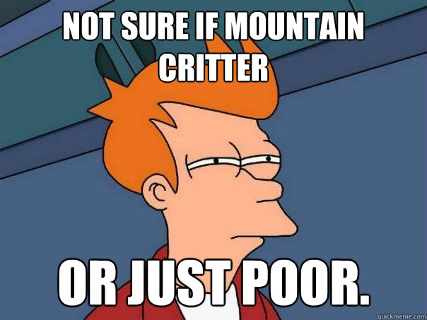 Not sure if Mountain Critter Or just poor.  Futurama Fry