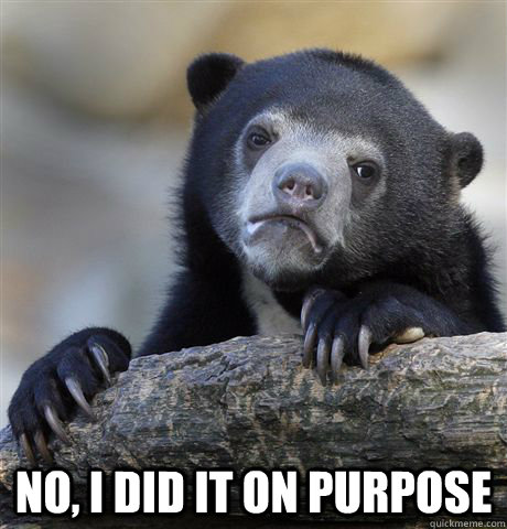  No, I did it on purpose  Confession Bear