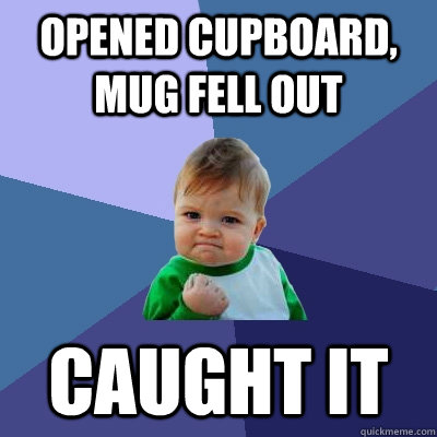 Opened cupboard, mug fell out caught it  Success Kid