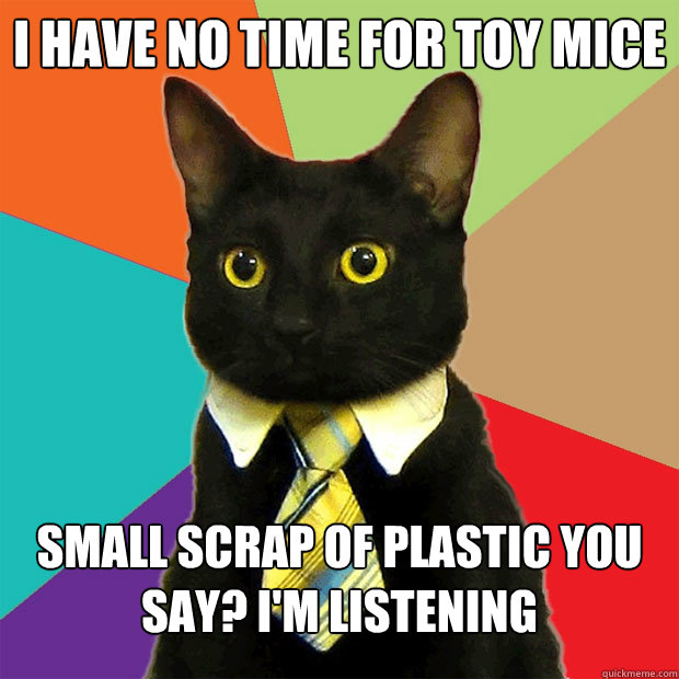 I have no time for toy mice small scrap of plastic you say? I'm listening  Business Cat