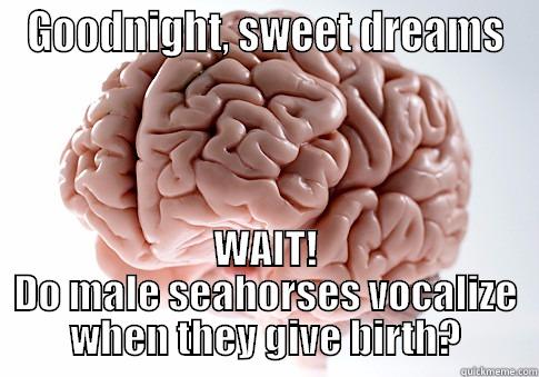 GOODNIGHT, SWEET DREAMS WAIT! DO MALE SEAHORSES VOCALIZE WHEN THEY GIVE BIRTH? Scumbag Brain