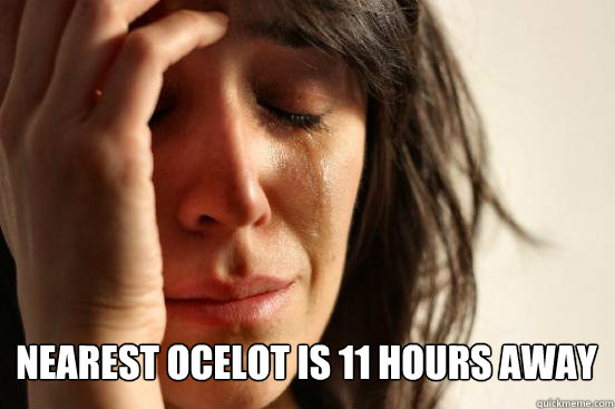 
 Nearest Ocelot is 11 hours away    First World Problems