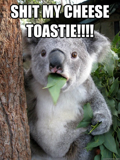 Shit my cheese toastie!!!!  koala bear