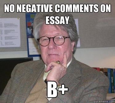 no negative comments on essay b+ - no negative comments on essay b+  Humanities Professor