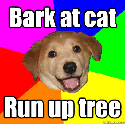 Bark at cat Run up tree  Advice Dog