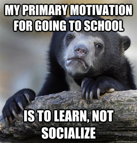 my primary motivation for going to school is to learn, not socialize - my primary motivation for going to school is to learn, not socialize  Confession Bear