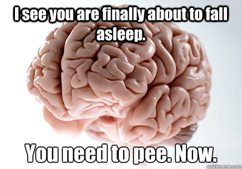 I see you are finally about to fall asleep. You need to pee. Now.  Scumbag Brain