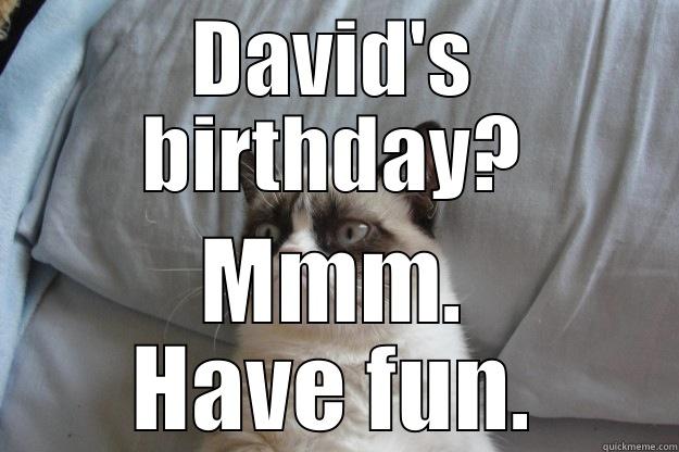 Birthday cat. - DAVID'S BIRTHDAY? MMM. HAVE FUN. Grumpy Cat