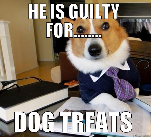 HE IS GUILTY FOR........ DOG TREATS Lawyer Dog