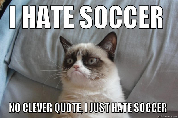 I HATE SOCCER NO CLEVER QUOTE, I JUST HATE SOCCER Grumpy Cat