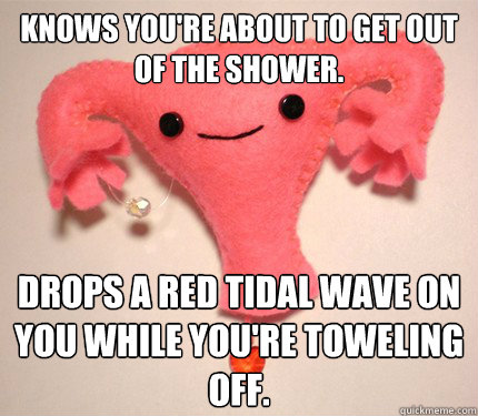 Knows you're about to get out of the shower. Drops a red tidal wave on you while you're toweling off.  Scumbag Uterus