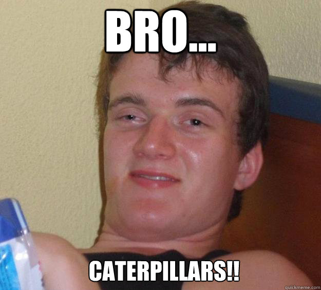 bro... caterpillars!!    10 Guy