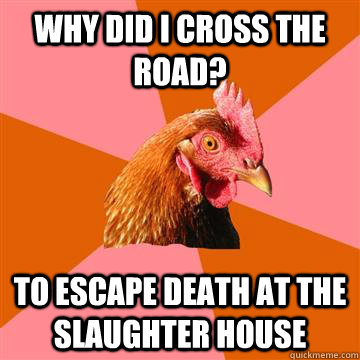 why did i cross the road? to escape death at the slaughter house  Anti-Joke Chicken