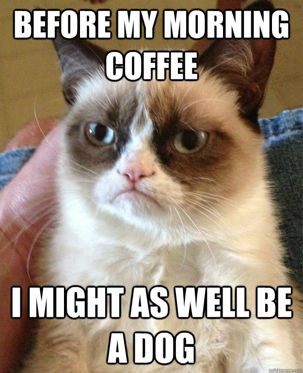 before my morning coffee i might as well be a dog  Grumpy Cat