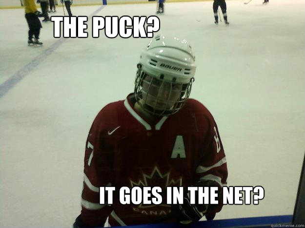 The puck?  It goes in the net?  